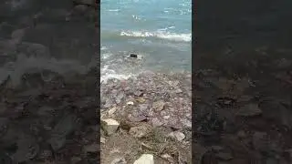 #Озеро #Балхаш 🌊 🌊 🌊