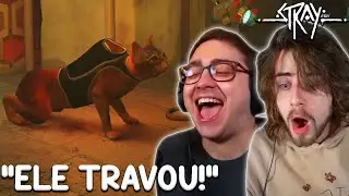 STREAMERS REAGINDO AO GATO TRAVANDO APÓS COLOCAR A ROUPA EM STRAY