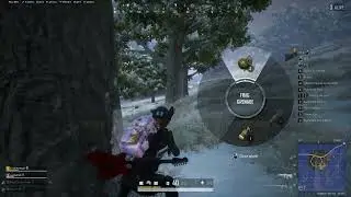 Chicken frozen Erangel 5k