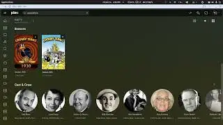 Plex: How to add the virtual Looney Tunes series from TVDB to Plex for willclem7551