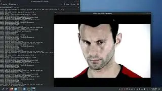 qemu 3dfx with KVM - Windows XP guest