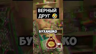 Верный друг #приколы #юмор #верныйдруг #друг #друзья
