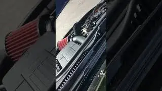 Bird likes CTS intake. mk6R