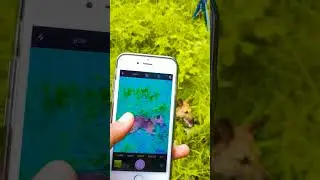 i phone 6s camera review|#shorts #shortvideo