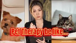 Therapists be like….