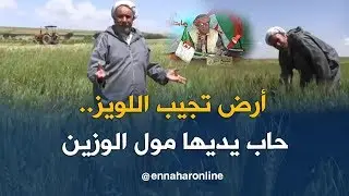 طالع هابط: سوق الفلاح وسوق الخرطي .. والي وهران 