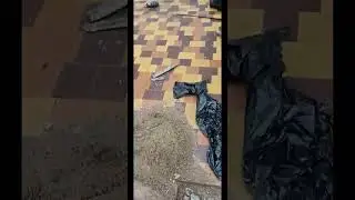 Сломал трубу, попал на💰