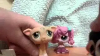 LPS: love story серия 4