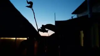 Лето. Вечер. Живая музыка