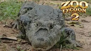 Zoo Tycoon 2: Broad-snouted Caiman Exhibit Speed Build