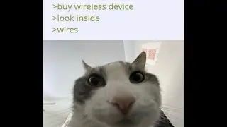 endless ambitions