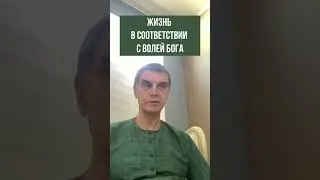 Жизнь в соответствии с волей Бога. Вишну-таттва дас