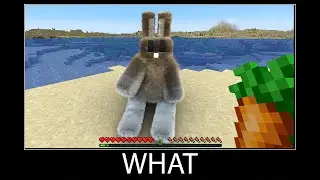 Minecraft wait what meme part 97 realistic minecraft Rabbit wool
