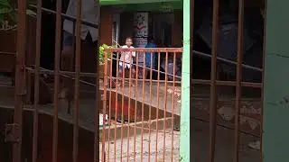 bacchon ke action dekho