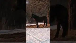 Семьёй катаемся с горки 😉😁! /жизнь в деревне/