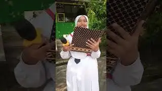 upacara hari senin