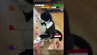 Ranking Billy the Cats’s Best Picks 🙀🏆