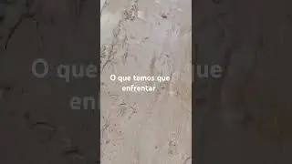 Só um pouco da dificuldade que temos pra andar no inverno