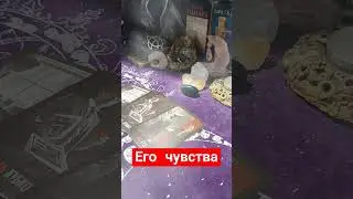 его чувства #таро #гаданиеонлайн #гадание #егомысли #расклад #егочувства