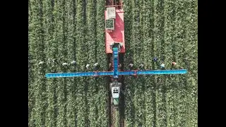 Aide-récolte - Harvest Aid - Univerco