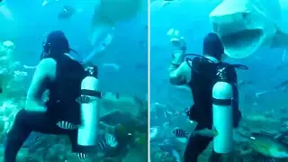 If You're Scared of Sharks, DON'T Watch This Video!