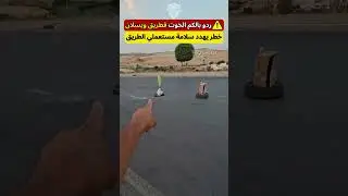 خطر كبير فطريق ويسلان ⚠️🚨