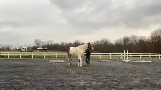Basic ground work with a new mare