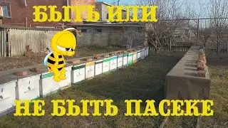 Быть или не быть пасеке
