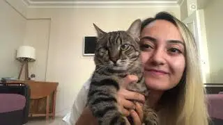 AMELİYATLA GÖZÜ ALINAN KEDİM NASIL İYİLEŞTİ