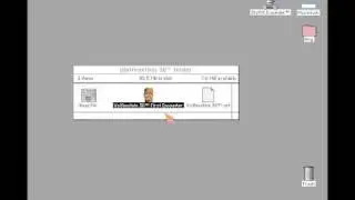 Amiga with Shapeshifter - Wolfenstein 3D dual test