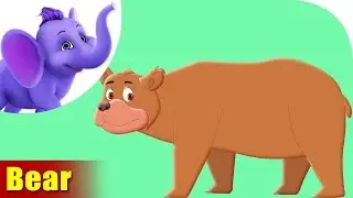 Bear - Animal Rhyme