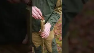 The Dark Secrets of Bushcraft Skills Revealed #camping  #bushcraft #survival #building