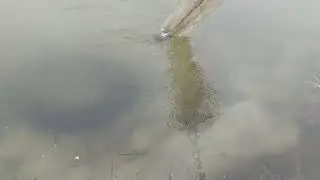Пошёл живой корм для рыб в прудах . Купил блок фильтрации для воды из скважины за 4050$ США из КНР