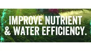 ABM - Naturall™ for Vegetables