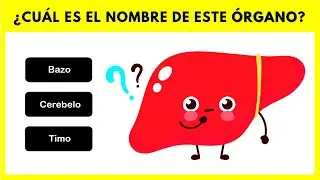 13 Preguntas de MEDICINA con RESPUESTAS | Preguntas de ANATOMÍA | ÓRGANOS del cuerpo 🧠