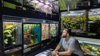 REPTILE ROOM TOUR December 2025! | 125+ Reptiles and Amphibians in one room!