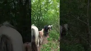 у каждого уникальный опыт