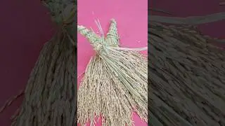 Laxmi Puja paddy jhadu# viral short # youtube shorts