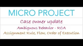 MICRO PROJECT :: Find the Root Cause of the Ambiguous Behavior - Update Case Owner
