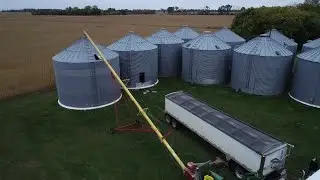 Soy Insight - Storage Moisture