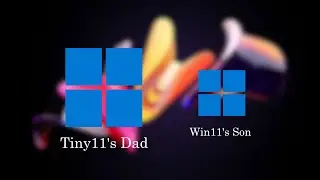 Tiny11
