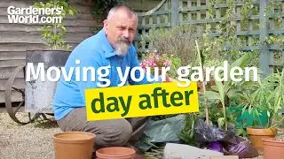 Moving Your Garden - 11 - The day after the move