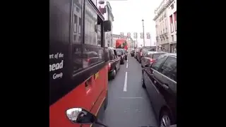 polite drivers