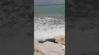 Белые скалы. Абхазия. Гагра