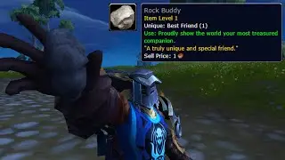 Rock Buddy WoW