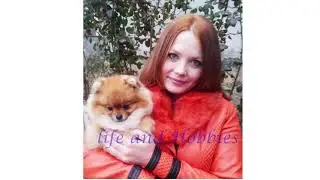 Алмазная мозаика "Звериное селфи" От распаковки до готовой работы. 2 оформленных работы.
