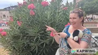 SNOOPY VISITS THE COLOSSEUM
