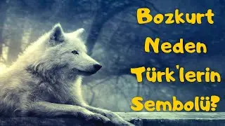 Bozkurt neden Türklerin simgesidir? Bozkurt'un Türkler için önemi nedir?