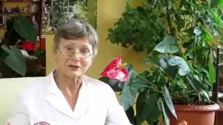 Шишковидная железа
