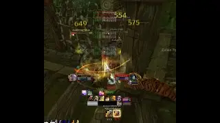 HOW TO SOLO TIGER BOSS OF ZUL GURUB GUIDE as PALADIN in (PrePatch) WOTLK